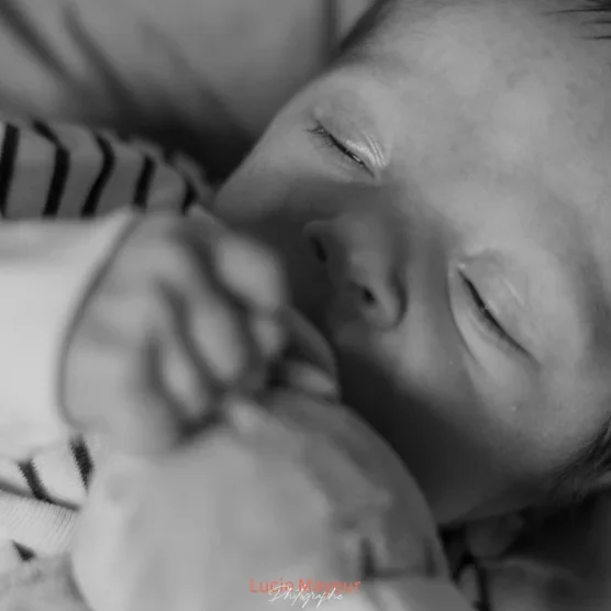 Logo de Petit Joseph